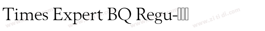 Times Expert BQ Regu字体转换